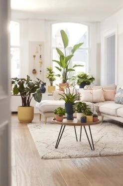 Elho Vibes Fold Rond Wielen 35 - Bloempot Voor Binnen - Ø 34.9 X H 32.4 Cm - Delicaat Roze -Tuinverzorgings Winkel 800x1200 100