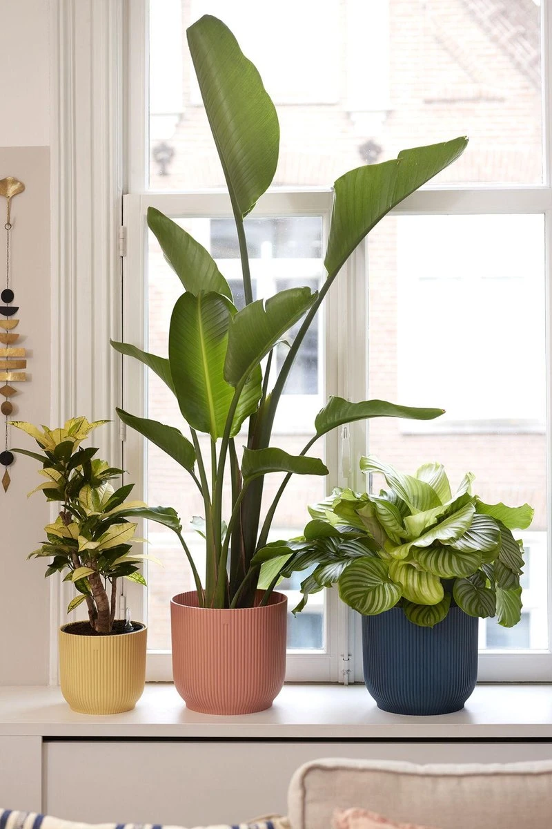 Elho Vibes Fold Rond 25 - Bloempot Voor Binnen - Ø 25.0 X H 23.0 Cm - Delicaat Roze 5 Elho Vibes Fold Rond 25 - Bloempot Voor Binnen - Ø 25.0 X H 23.0 Cm - Delicaat Roze - Afbeelding 3