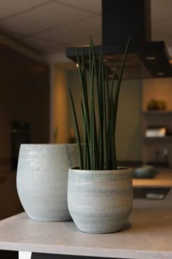 Tokio Bloempot Blauw Aqua D28 X H26 Cm - Nieuwe Collectie -Tuinverzorgings Winkel 800x1200 104