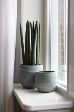 Tokio Bloempot Blauw Aqua D28 X H26 Cm - Nieuwe Collectie -Tuinverzorgings Winkel 800x1200 105