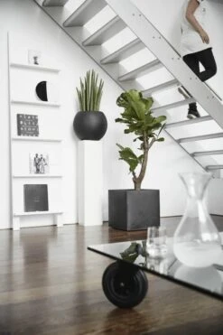 Capi Europe - Bloempot Vierkant Smooth NL - 40x40x40 - Zwart - Voor Binnen En Buiten - KBL903 21 Capi Europe - Bloempot Vierkant Smooth NL - 40x40x40 - Zwart - Voor Binnen En Buiten - KBL903 -Tuinverzorgings Winkel 800x1200 108