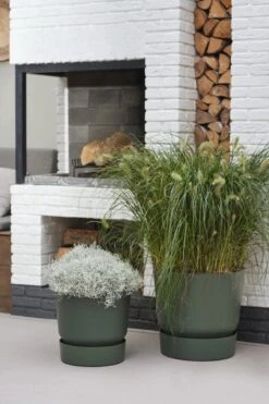 Elho Greenville Rond 30 - Grote Bloempot Voor Buiten - Gemaakt Van Gereycled Plastic - Ø 29.5 X H 27.8 Cm - Blad Groen -Tuinverzorgings Winkel 800x1200 113