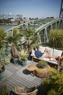 Elho Greenville Rond 30 - Grote Bloempot Voor Buiten - Gemaakt Van Gereycled Plastic - Ø 29.5 X H 27.8 Cm - Blad Groen -Tuinverzorgings Winkel 800x1200 114