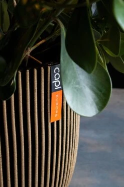 Capi Europe - Vaas Elegant Laag Groove NL - 34x46 - Goud - Voor Binnen En Buiten - KGVGB782 -Tuinverzorgings Winkel 800x1200 115