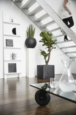 Capi Europe - Bloempot Vierkant Smooth NL - 30x30x30 - Zwart - Voor Binnen En Buiten - KBL902 24 Capi Europe - Bloempot Vierkant Smooth NL - 30x30x30 - Zwart - Voor Binnen En Buiten - KBL902 -Tuinverzorgings Winkel 800x1200 124