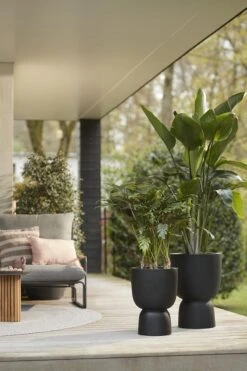 Elho Pure Coupe 41 - Bloempot Voor Binnen & Buiten - Ø 41.3 X H 57.9 Cm - Zwart/Zwart -Tuinverzorgings Winkel 800x1200 125