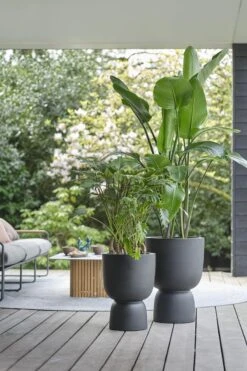 Elho Pure Coupe 41 - Bloempot Voor Binnen & Buiten - Ø 41.3 X H 57.9 Cm - Zwart/Zwart -Tuinverzorgings Winkel 800x1200 126