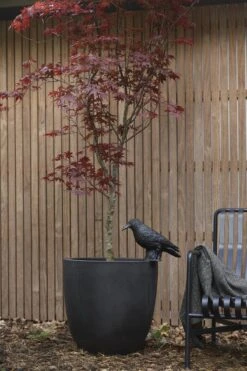 Capi Europe - Bloempot Bol Smooth NL - 43x41 - Zwart - Voor Binnen En Buiten - KBL933 -Tuinverzorgings Winkel 800x1200 138