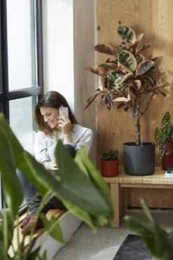 Elho B.for Soft Rond 35 - Bloempot Voor Binnen - Ø 34.5 X H 32.3 Cm - Antraciet -Tuinverzorgings Winkel 800x1200 144