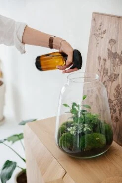 24DOTS Living Plantenspuit | 500 Ml Bruin Amber Glas | Plantensproeier | Plantenspuit Binnen | Waterverstuiver | Vernevelaar -Tuinverzorgings Winkel 800x1200 15