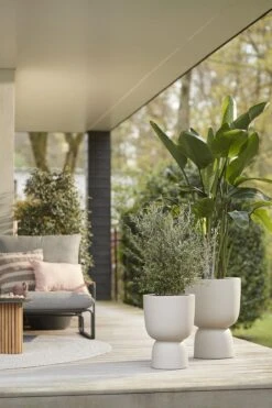 Elho Pure Coupe 35 - Bloempot Voor Binnen & Buiten - Ø 34.9 X H 49.0 Cm - Beige/Balanced Beige -Tuinverzorgings Winkel 800x1200 154