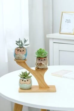 Luxe Bamboe Houten Boom Met 3 Keramiek Uil Bloempotten/Plantenpotten Op Standaard/Voet Voor Binnen En Buiten - Modern Design Bloempot/Plantenpot Op Poten/Pootjes-Plantenbak Mini Cactus Nep Plant Pot Houder - Kleine Bloembakken Plantenrek/Plantenkurk -Tuinverzorgings Winkel 800x1200 157