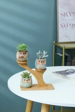 Luxe Bamboe Houten Boom Met 3 Keramiek Uil Bloempotten/Plantenpotten Op Standaard/Voet Voor Binnen En Buiten - Modern Design Bloempot/Plantenpot Op Poten/Pootjes-Plantenbak Mini Cactus Nep Plant Pot Houder - Kleine Bloembakken Plantenrek/Plantenkurk -Tuinverzorgings Winkel 800x1200 158