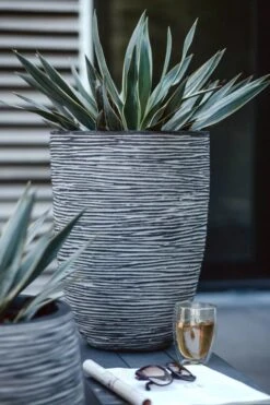 Capi Europe - Vaas Elegant Laag Rib NL - 36x47 - Antraciet - Voor Binnen En Buiten - KOFZ782 -Tuinverzorgings Winkel 800x1200 164