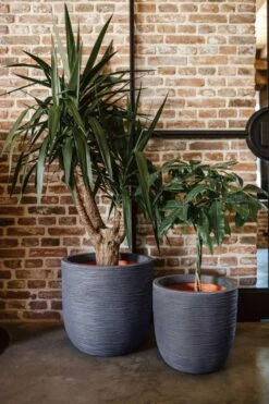 Capi Europe - Bloempot Bol Rib NL - 43x41 - Antraciet - Voor Binnen En Buiten - KOFZ933 -Tuinverzorgings Winkel 800x1200 167