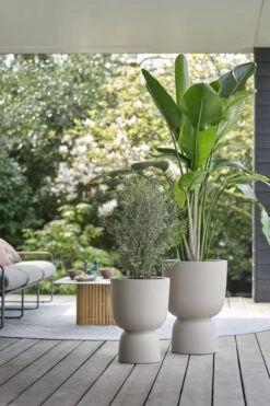 Elho Pure Coupe 41 - Bloempot Voor Binnen & Buiten - Ø 41.3 X H 57.9 Cm - Beige/Balanced Beige -Tuinverzorgings Winkel 800x1200 172