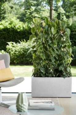 Elho Vivo Structure Finish Lang 90 - Plantenbak Voor Binnen & Buiten - Ø 88 X H 41 - Wit -Tuinverzorgings Winkel 800x1200 71