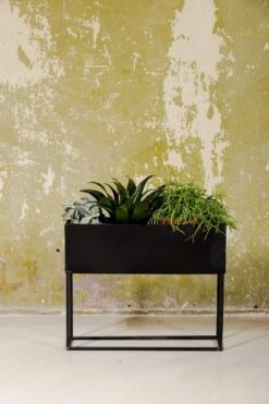SENZA Rechthoekige Plantenbak - Bloemenbak Ijzer - 42.5 X 34cm - Zwart -Tuinverzorgings Winkel 800x1200 72