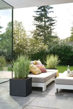 Elho Vivo Next Vierkant 40 - Plantenbak Voor Binnen & Buiten - Ø 39.0 X H 37.9 Cm - Zwart/Living Black -Tuinverzorgings Winkel 800x1200 73