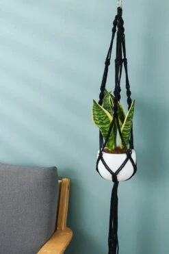4 Stuks Zwarte Macrame Plantenhangers - Boho Handgeweven Katoen Hangpot Voor Binnen/Buiten - Hangende Bloempot Met Kralen - Macramé Touw/Koord Hangplant Houder - Bohemian Wandhanger Decoratie - Plant Hanger - Verticale Tuin Bloempothouder Planthanger -Tuinverzorgings Winkel 800x1200 80