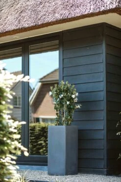 Capi Europe - Bloempot Rechthoek Smooth NL - 36x36x79 - Zwart - Voor Binnen En Buiten - KBL952 -Tuinverzorgings Winkel 800x1200 89