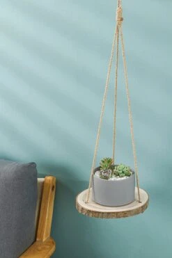 Set Van 2 Boomstam Rond Wandrek Plantenhangers - Boho Jute Houten Plantenrek - Hangpot Voor Binnen/Buiten - Hangende Bloempot Plank - Hangplant Houder - Bohemian Macrame Stijl Wandhanger - Hangplank Plant Hanger - Planthanger - Ø Rond 25-20cm -Tuinverzorgings Winkel 800x1200 96