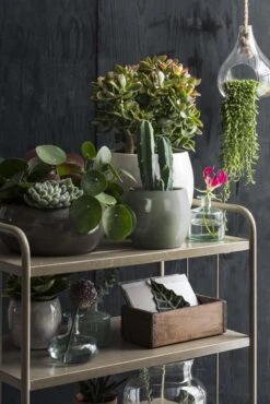 Mica Decorations Lester Bloempot - H31 X Ø33 Cm - Terracotta - Groen -Tuinverzorgings Winkel 801x1200 14