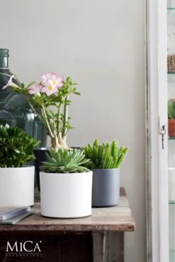 Mica Decorations Era Bloempot - H26 X Ø28 Cm - Wit 14 Mica Decorations Era Bloempot - H26 X Ø28 Cm - Wit -Tuinverzorgings Winkel 803x1200 5