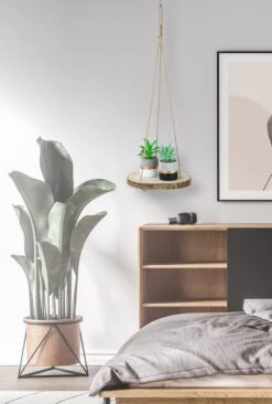 Set Van 2 Boomstam Rond Wandrek Plantenhangers - Boho Jute Houten Plantenrek - Hangpot Voor Binnen/Buiten - Hangende Bloempot Plank - Hangplant Houder - Bohemian Macrame Stijl Wandhanger - Hangplank Plant Hanger - Planthanger - Ø Rond 25-20cm -Tuinverzorgings Winkel 809x1200