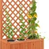 Relaxdays Plantenbak Met Klimrek - Bloembak Trellis - Rankhulp Hout - Voor Klimplanten -Tuinverzorgings Winkel 817x1200 2