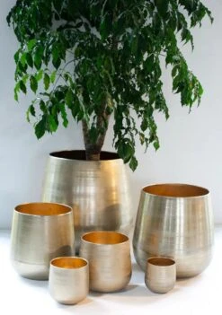 Merkloos Karakter Pot Alu Neo Gold ø40x40cm 8 Merkloos Karakter Pot Alu Neo Gold ø40x40cm -Tuinverzorgings Winkel 844x1200 1