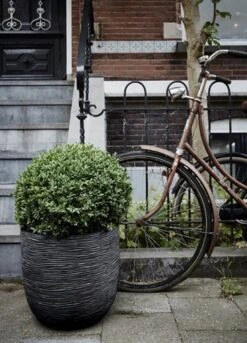 Capi Europe - Bloempot Bol Rib NL - 35x34 - Zwart - Voor Binnen En Buiten - KBLR932 -Tuinverzorgings Winkel 864x1200 1