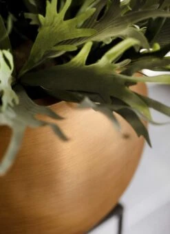 Capi Europe - Vaas Bol Retro - 30x25 - Goud - Bloempot Voor Binnen - BRTG104 -Tuinverzorgings Winkel 869x1200 1