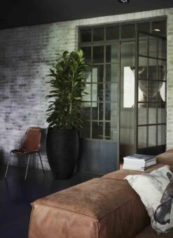 Capi Europe - Vaas Elegant Deluxe Rib NL - 56x84 - Zwart - Voor Binnen En Buiten - KBLR1132 -Tuinverzorgings Winkel 873x1200