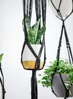 4 Stuks Luxe Macrame Plantenhangers - Boho Handgeweven Katoen Hangpot Voor Binnen/Buiten - Hangende Bloempot Met Kralen - Macramé Touw/Koord Hangplant Houder - Bohemian Wandhanger Decoratie - Plant Hanger - Verticale Tuin Bloempothouder Planthanger -Tuinverzorgings Winkel 880x1200 4