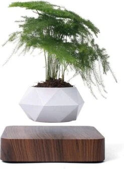Floatey Design Plant | Zwevende Plant - Bloempot (levitation)