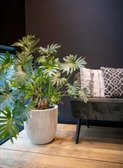 Capi Europe - Bloempot Bol Groove NL - 43x41 - Zwart - Voor Binnen En Buiten - KGVBL933 -Tuinverzorgings Winkel 883x1200 1