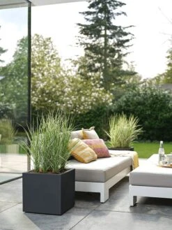 Elho Vivo Next Vierkant 30 - Plantenbak Voor Binnen & Buiten - Ø 29.5 X H 29.5 Cm - Zwart/Living Black -Tuinverzorgings Winkel 900x1200 17