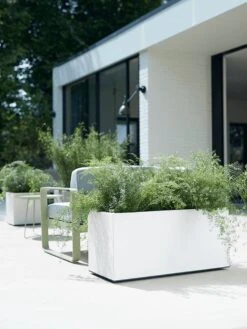 Elho Vivo Matt Finish Lang Wielen 90 - Grote Staande Plantenbak Voor Binnen & Buiten - Gemaakt Van Gereycled Plastic - L 39 X W 88 X H 41 Cm - Zwart 20 Elho Vivo Matt Finish Lang Wielen 90 - Grote Staande Plantenbak Voor Binnen & Buiten - Gemaakt Van Gereycled Plastic - L 39 X W 88 X H 41 Cm - Zwart -Tuinverzorgings Winkel 900x1200 19