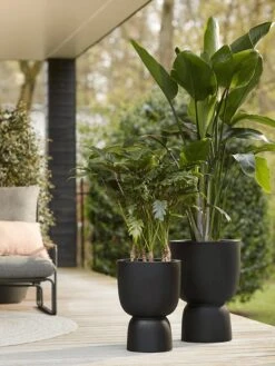 Elho Pure Coupe 35 - Bloempot Voor Binnen & Buiten - Ø 34.9 X H 49.0 Cm - Zwart/Zwart -Tuinverzorgings Winkel 900x1200 26