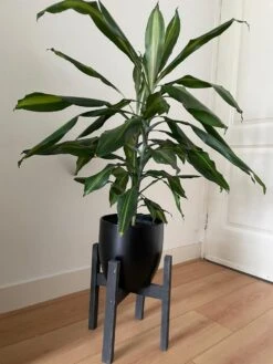 Plantenstandaard Binnen - Diameter Tot 24 Cm - Plantenkruk - Bloempotten Voor Binnen - Plantentafeltje Voor Binnen - Bloempot Standaard | Plantenstandaard - Hout - Mat Zwart -Tuinverzorgings Winkel 900x1200 31