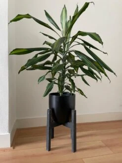 Plantenstandaard Binnen - Diameter Tot 24 Cm - Plantenkruk - Bloempotten Voor Binnen - Plantentafeltje Voor Binnen - Bloempot Standaard | Plantenstandaard - Hout - Mat Zwart -Tuinverzorgings Winkel 900x1200 32