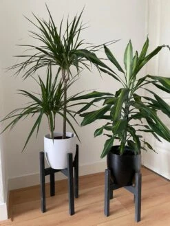 Plantenstandaard Binnen - Set Van 2 - Diameter Tot 24 Cm - Plantenkruk - Bloempotten Voor Binnen - Plantentafeltje Voor Binnen - Bloempot Standaard - Plantenstandaard - Hout - Mat Zwart/Donkergrijs -Tuinverzorgings Winkel 900x1200 40