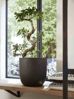 Capi Europe - Bloempot Bol Smooth NL - 54x52 - Zwart - Voor Binnen En Buiten - KBL935 -Tuinverzorgings Winkel 900x1200 44