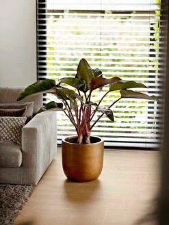 Capi Europe - Bloempot Bol Retro XL - 42x41 - Goud - Bloempot Voor Binnen - Opening ⌀36 - RTG933 -Tuinverzorgings Winkel 900x1200 47