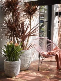 Capi Europe - Bloempot Bol Rib NL - 35x34 - Ivoor - Voor Binnen En Buiten - KOFI932 -Tuinverzorgings Winkel 900x1200 50