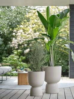 Elho Pure Coupe 41 - Bloempot Voor Binnen & Buiten - Ø 41.3 X H 57.9 Cm - Beige/Balanced Beige -Tuinverzorgings Winkel 900x1200 52