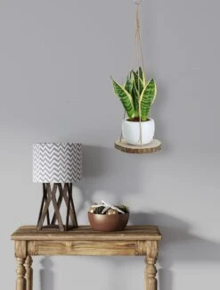 Set Van 2 Boomstam Rond Wandrek Plantenhangers - Boho Jute Houten Plantenrek - Hangpot Voor Binnen/Buiten - Hangende Bloempot Plank - Hangplant Houder - Bohemian Macrame Stijl Wandhanger - Hangplank Plant Hanger - Planthanger - Ø Rond 25-20cm -Tuinverzorgings Winkel 912x1200 1