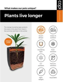 Capi Europe - Bloempot Rechthoek Smooth NL - 36x36x79 - Zwart - Voor Binnen En Buiten - KBL952 -Tuinverzorgings Winkel 919x1200 2