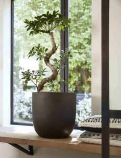 Capi Europe - Bloempot Bol Smooth NL - 35x34 - Zwart - Voor Binnen En Buiten - KBL932 -Tuinverzorgings Winkel 923x1200 1